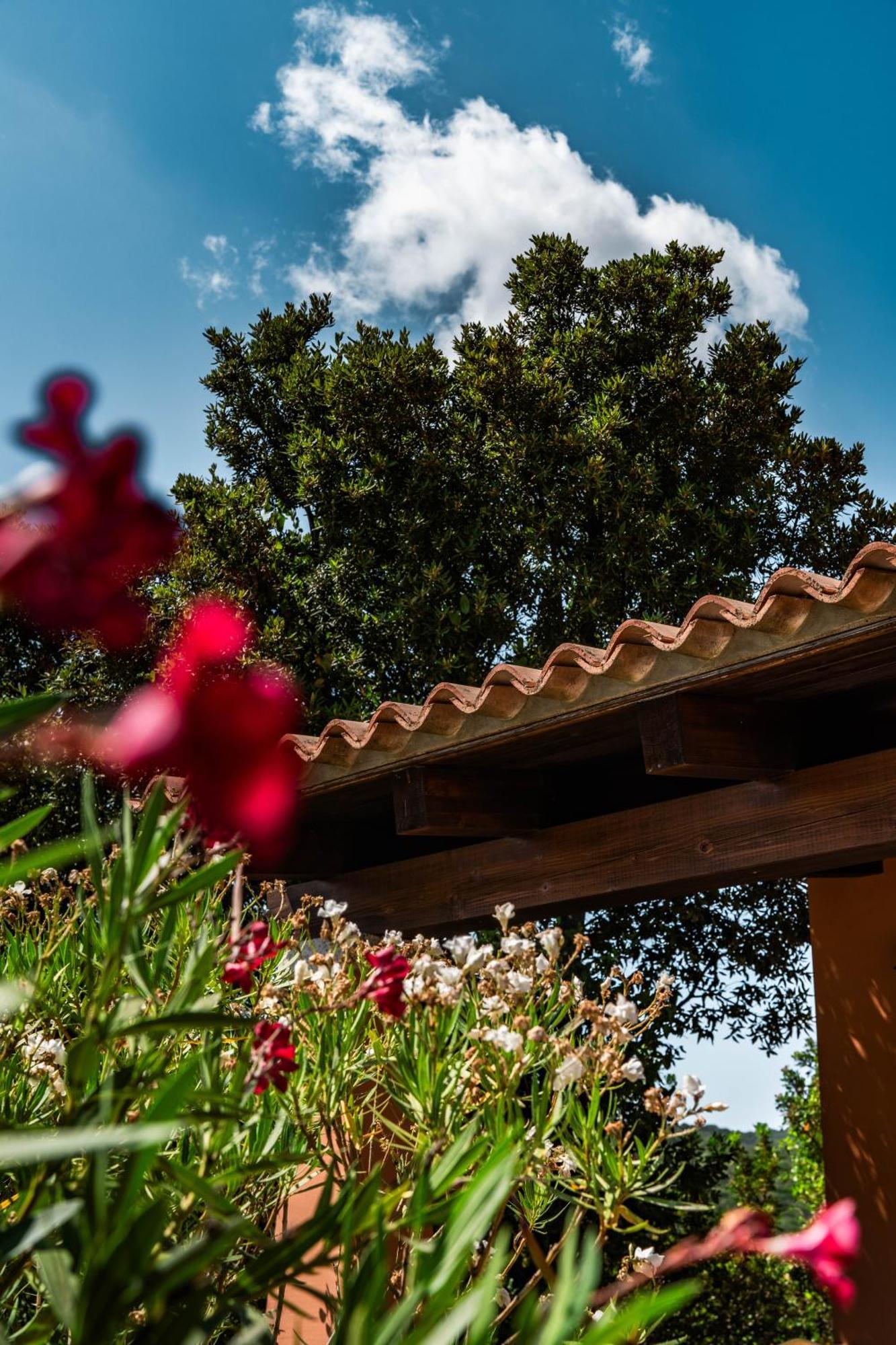 Casagliana Suite Resort Olbia Exteriör bild
