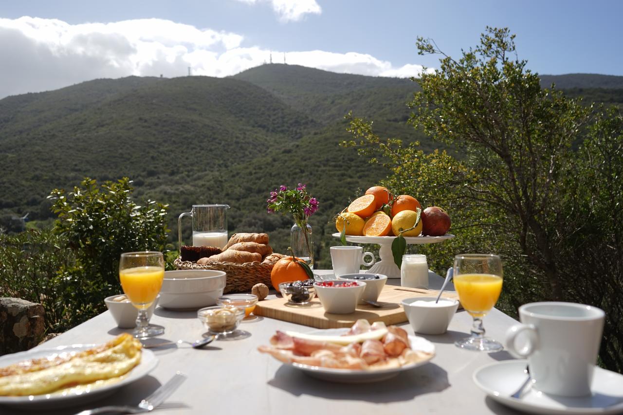 Casagliana Suite Resort Olbia Exteriör bild