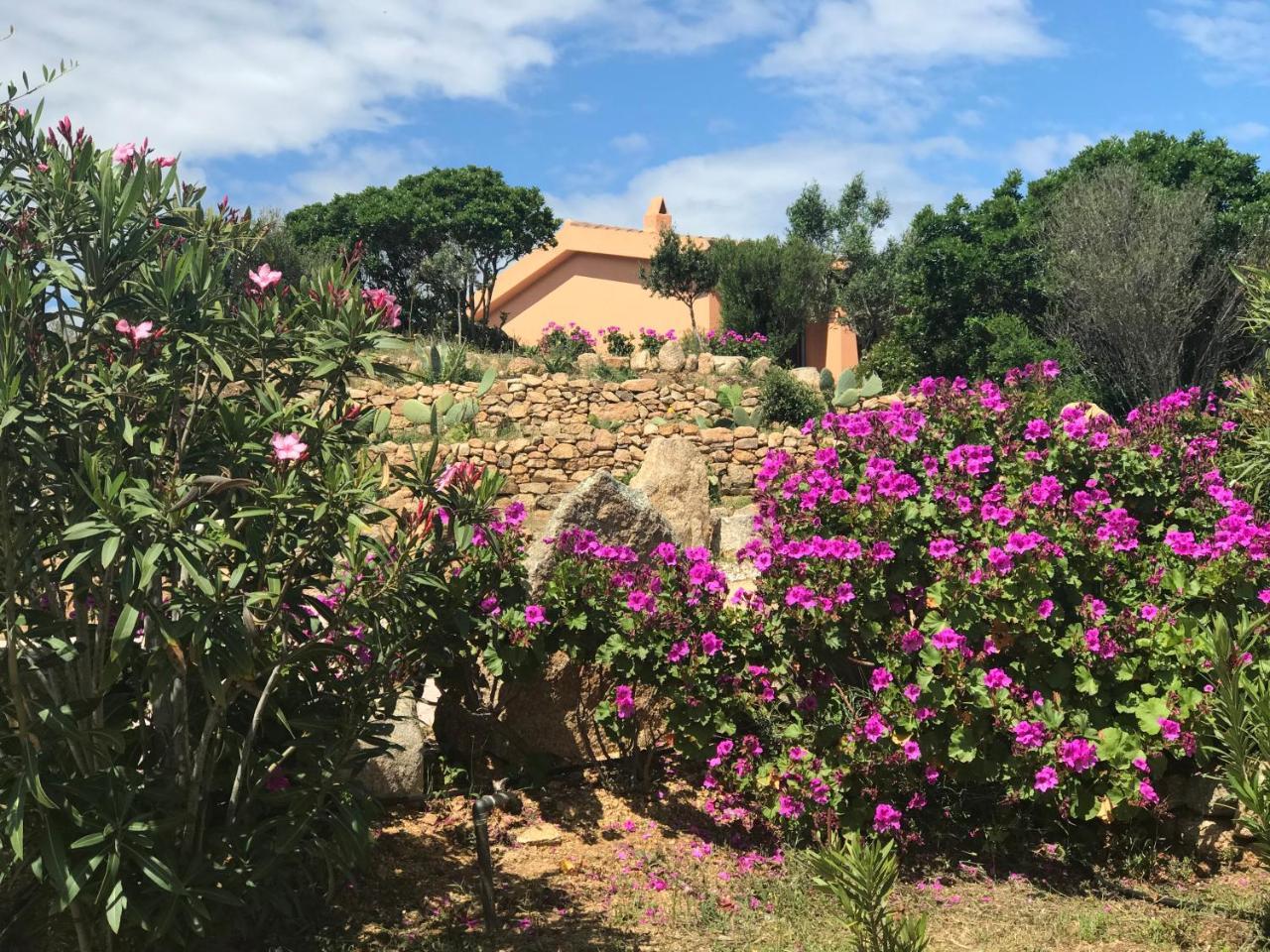 Casagliana Suite Resort Olbia Exteriör bild